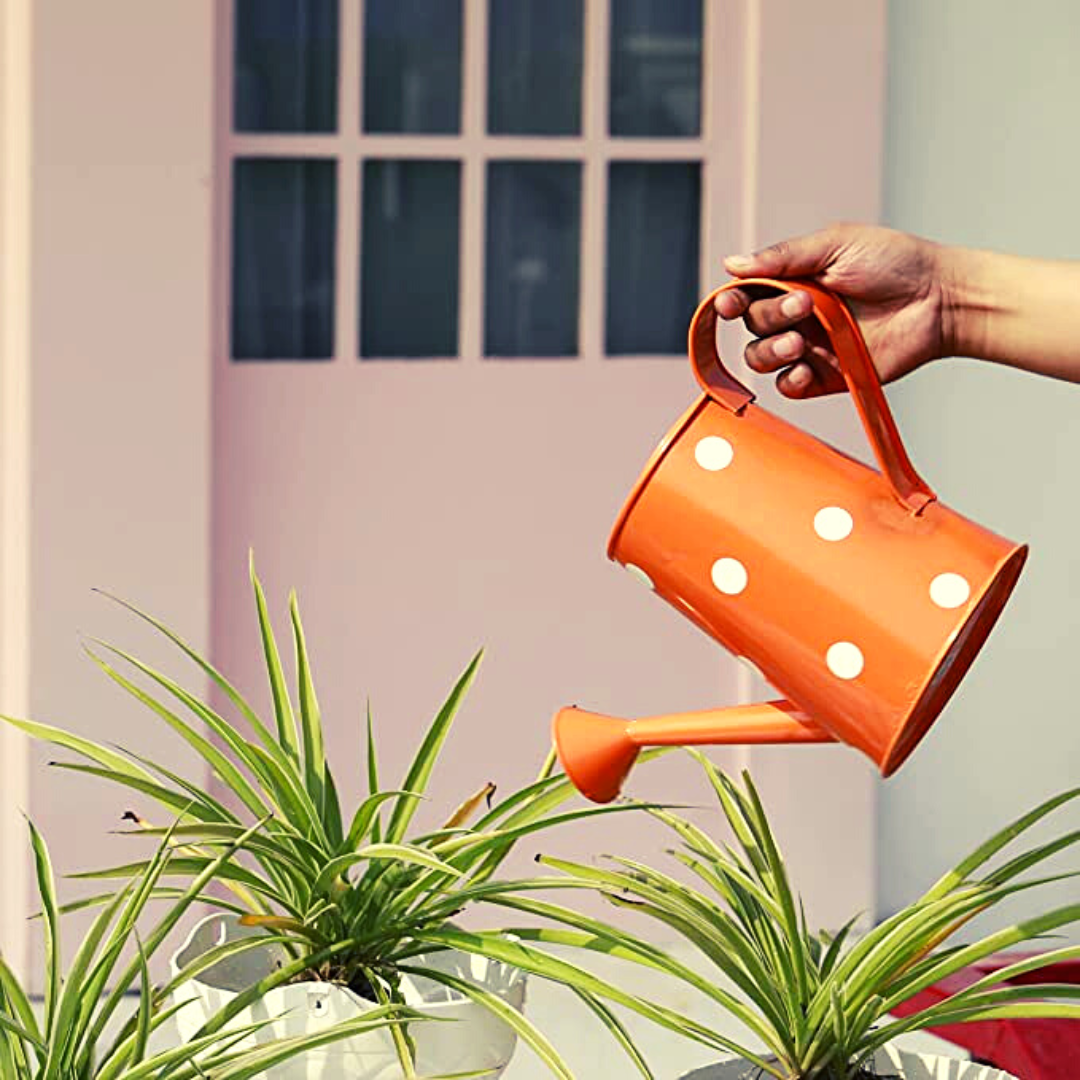 Homefrills 1.5 Litre Metal Watering can for Plants, Garden Water can for Kids, Flower Watering Pot for Home Gardening, Color - Orange, Size - 1.5 L with spout
